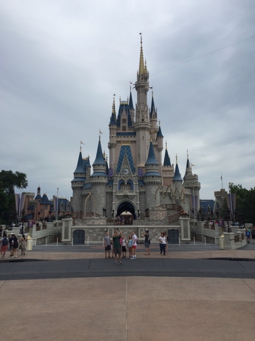 Cinderella's castle