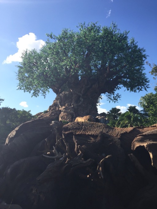 Tree of Life