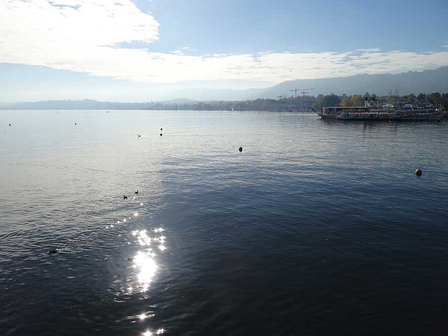 Lake Zurich with mountain backdrop