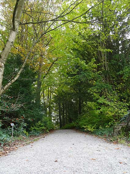 One of the many garden paths