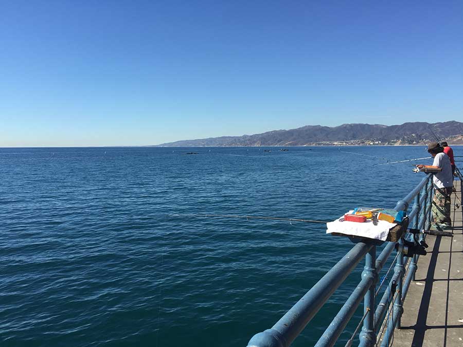 Santa Monica ocean view